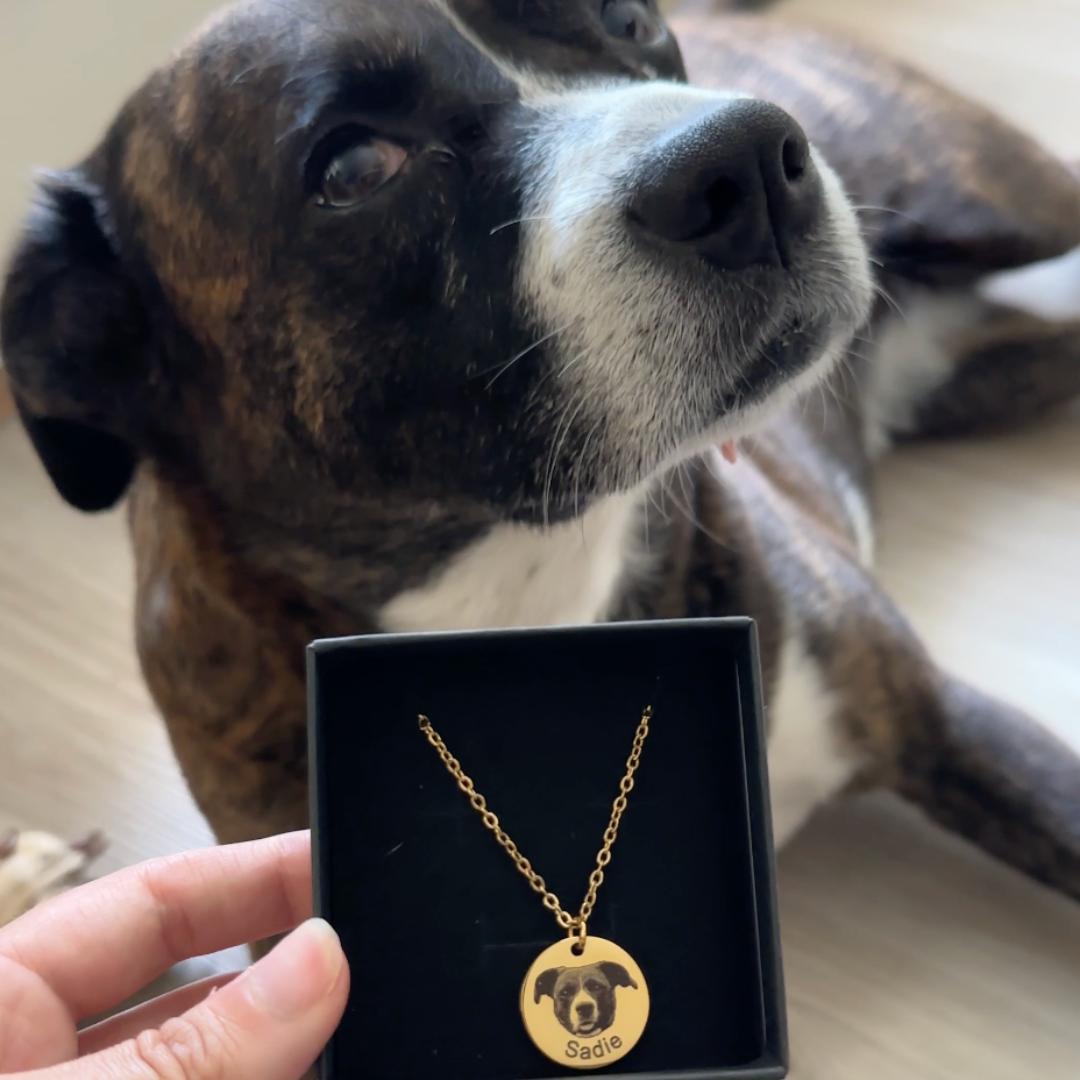 Colar com Pingente Personalizado — Foto do Seu Pet Gravada