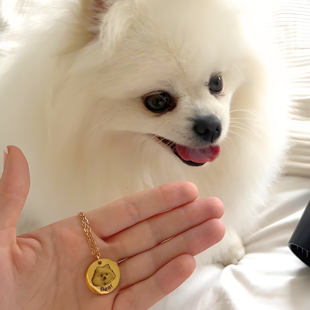 Colar com Pingente Personalizado — Foto do Seu Pet Gravada