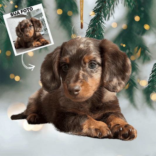 Amigo de 4 Patas - Enfeite de Acrilico com foto personalizado - Presente de Natal para amantes de animais de estimação, amantes de cães, amantes de gatos