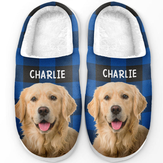 Pantufas Personalizadas - Presente Para Donos de Animais de Estimação, Amantes de Animais de Estimação